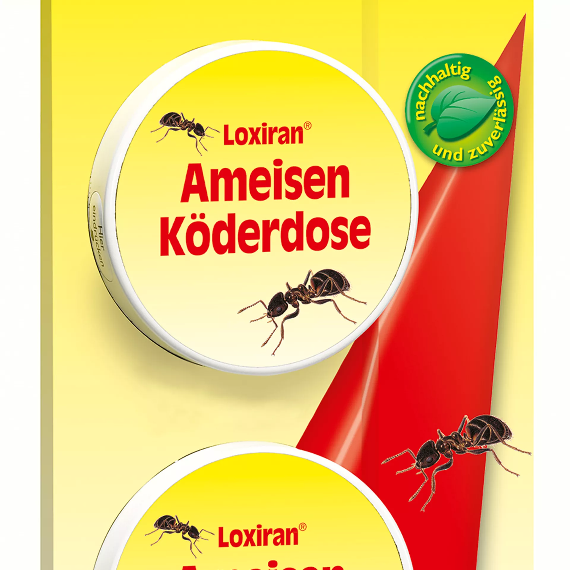 Loxiran Giftig Fr Menschen