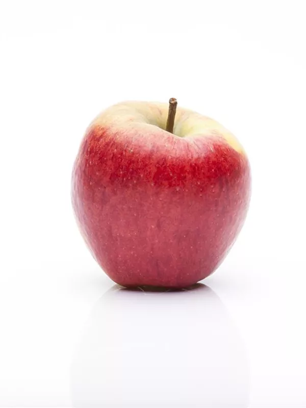 Säulenapfel 'Rondo'(s)