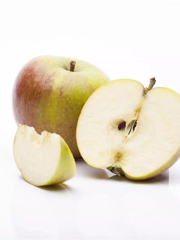 Apfel 'Cox Orange'