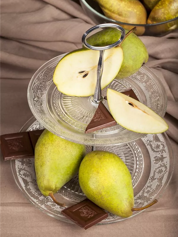 Birne 'Köstliche von Charneux'