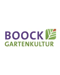 Rhabarbar 'Canada Red'