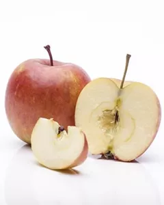 Säulenapfel 'Rhapsodie'