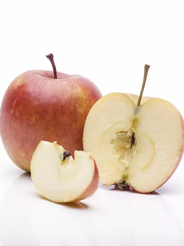 Säulenapfel 'Rhapsodie'